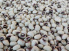 Pinkeye Purple Hull, Kiawah Southern Pea (Cowpea), bulk size: 1/4 lb